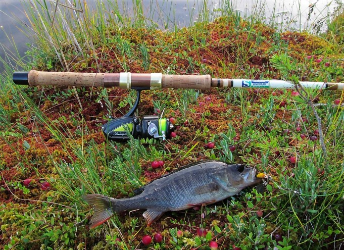 WS ---- 6 ---- (2).jpg