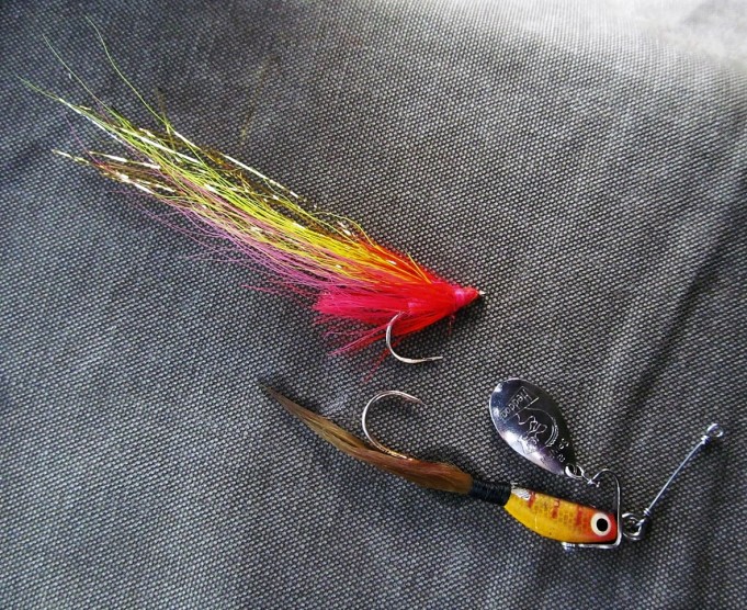 WS ---- 7 ---- (2).jpg