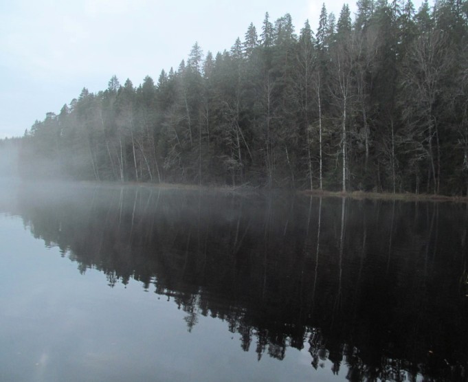 Esox ... .20 .....jpg