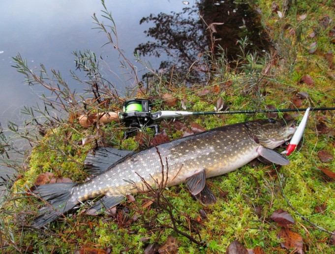 Graflon .... 10 .....jpg