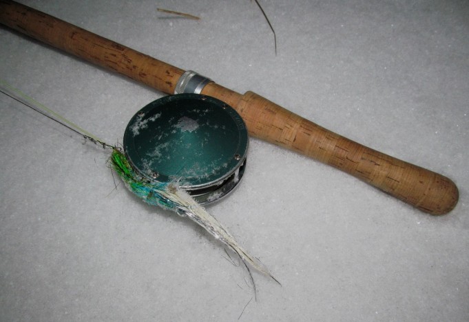 Arnold ---- 6 ----.jpg