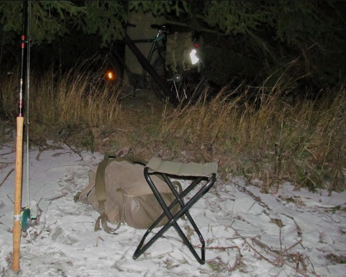 Arnold ---- 8 ----.jpg