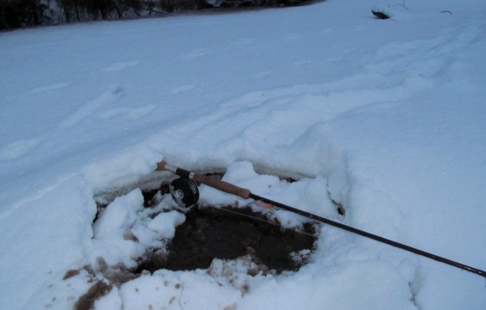 lyijysiima ----40 ----.jpg