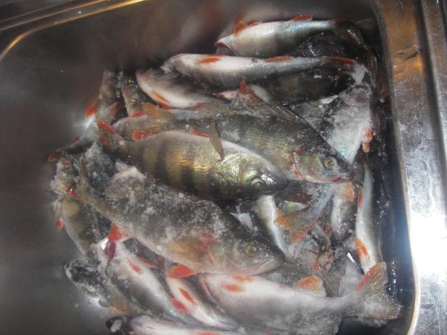 imgp0930_0 tiskipöystä.jpg