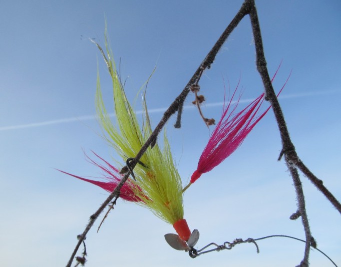 Riitettä ---- 3 ----.jpg