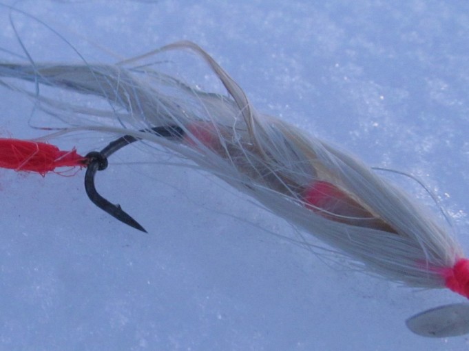 Hangella ---- 3 ----.jpg