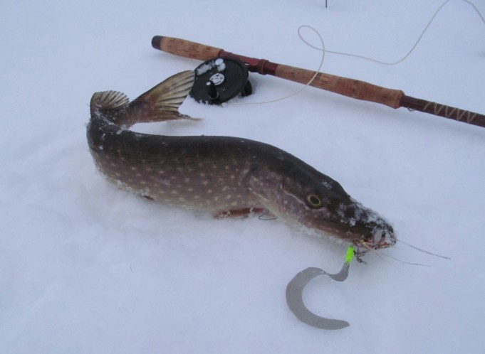 Lunta ja jäätä ---- 3 ----.jpg