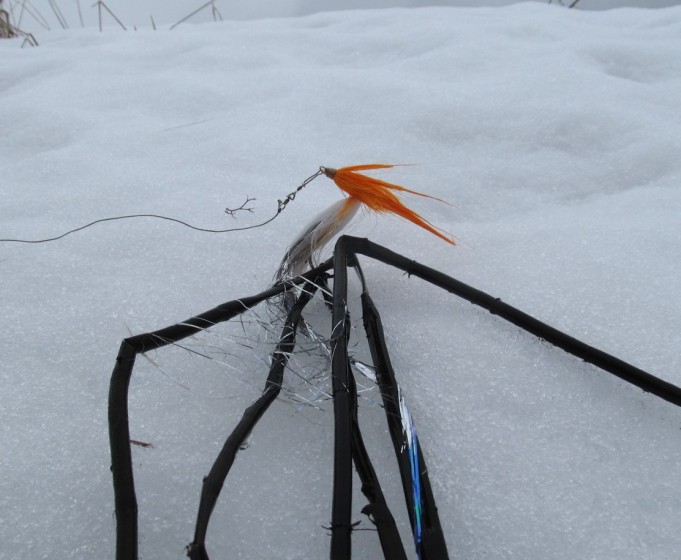 Feralite ---- 2 ----.jpg