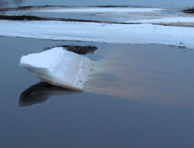 Feralite ---- 6 ----.jpg