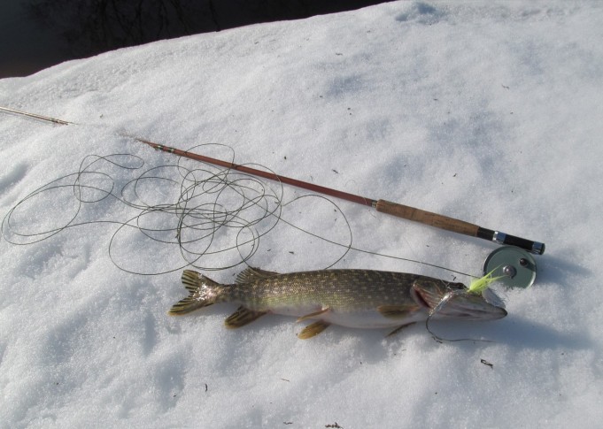 Lappland 540 ---- 3 ----.jpg