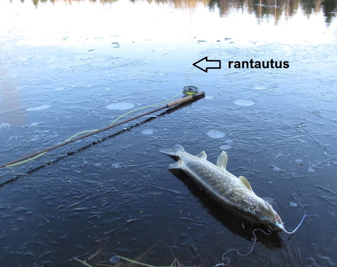 Citation ---- 1 ----.jpg