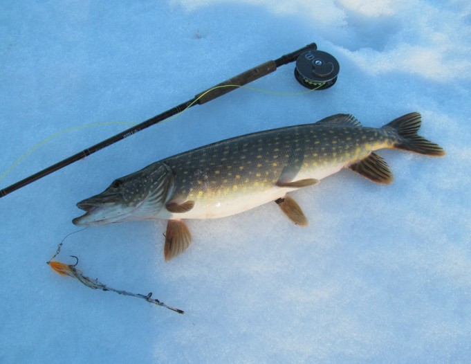 Citation ---- 3 ----.jpg