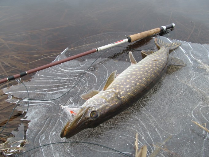 DAM Standard ---- 0 ----.jpg