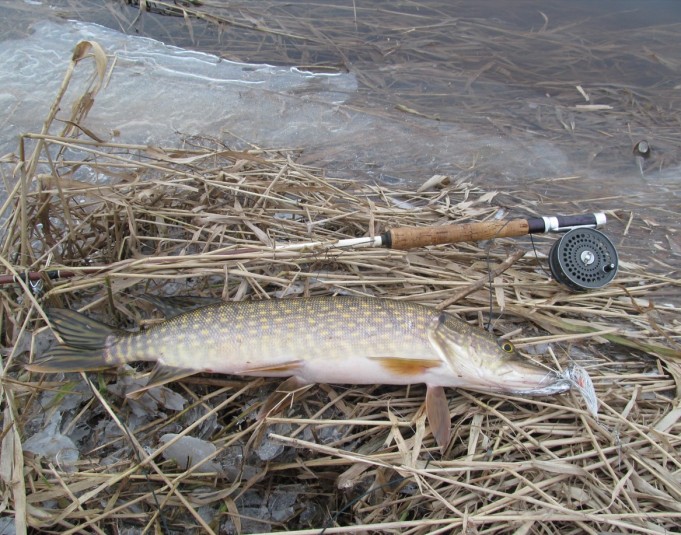 DAM Standard ---- 4 ----.jpg