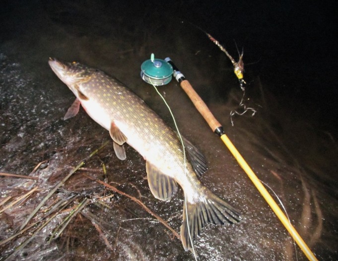 popular ---- 1 ----.jpg