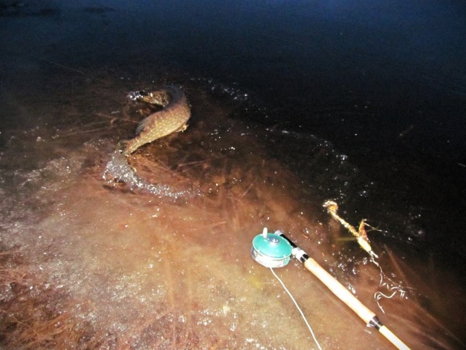 popular ---- 2 ----.jpg