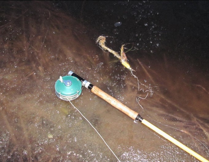 popular ---- 3 ----.jpg