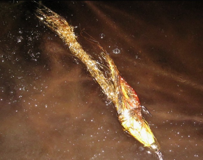 popular ---- 4 ----.jpg