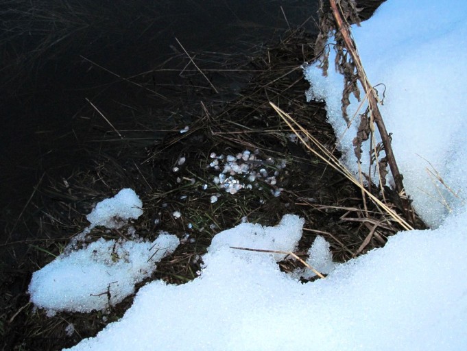 Conolon ---- 8 ----.jpg