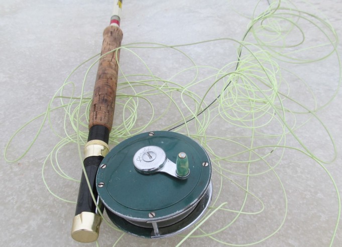 Wonderod - Favorite ---- 3 ----.jpg