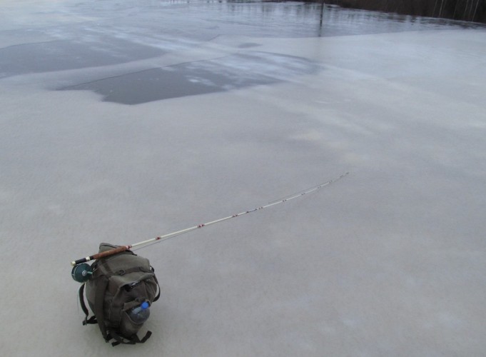 Wonderod - Favorite ---- 7 ----.jpg