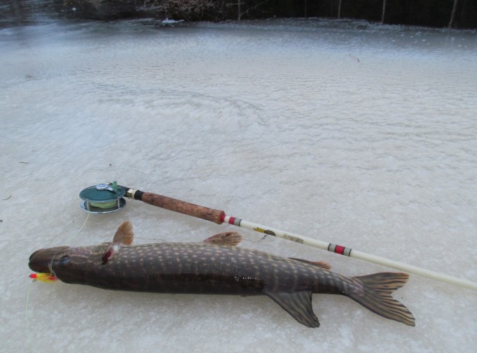 Wonderod - Favorite ---- 8 ----.jpg