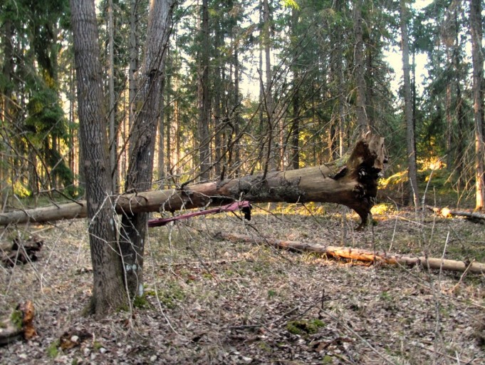 ABU ja Heddon ---- 1 ----.jpg