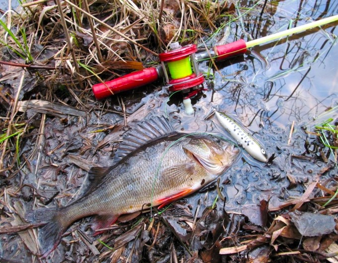 ABU ja Heddon ---- 2 ----.jpg