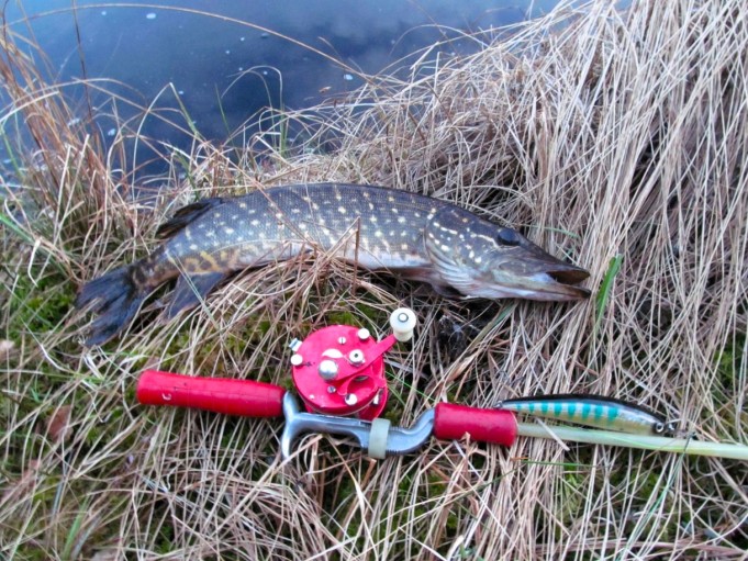 ABU ja Heddon ---- 4 ----.jpg