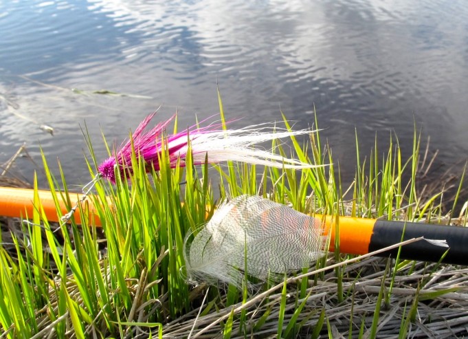 latvoilla .... 0 .....jpg