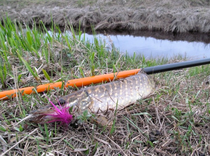 latvoilla .... 2 .....jpg