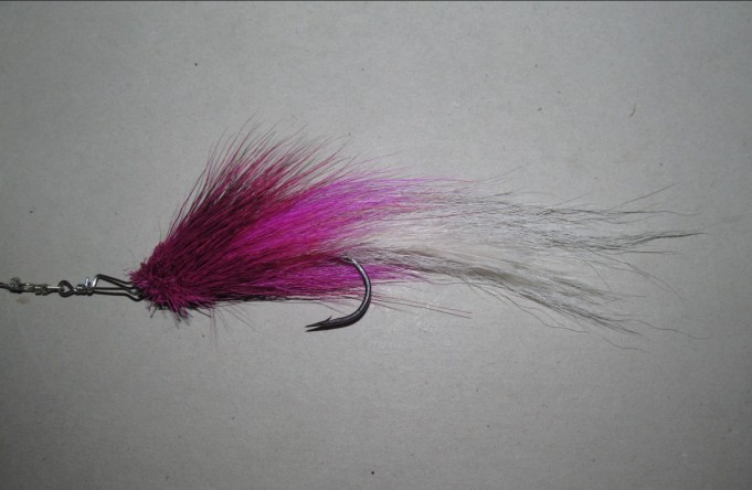 latvoilla .... 4 .....jpg