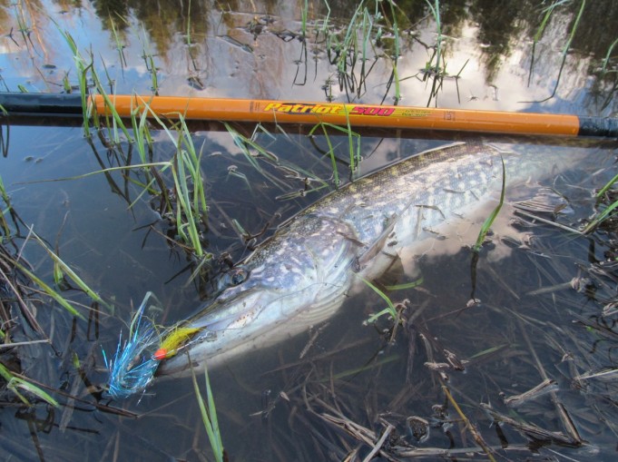 viisi metriä ---- 1 ----.jpg