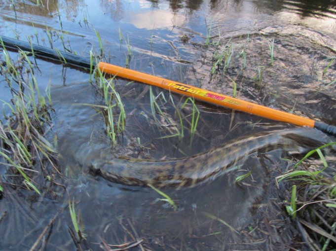 viisi metriä ---- 3 ----.jpg