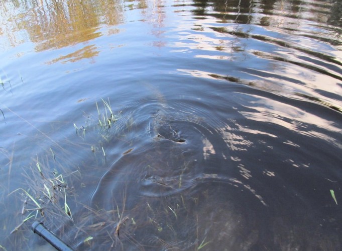 viisi metriä ---- 4 ----.jpg