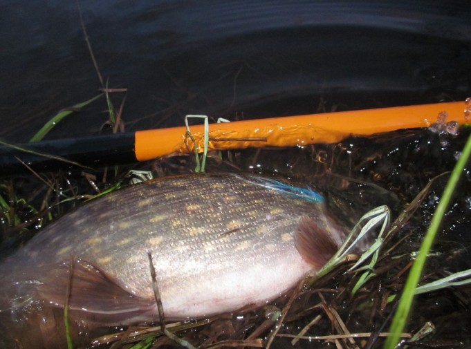 viisi metriä ---- 7 ----.jpg