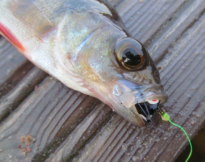 uimarannalla ---- 3 ----.jpg