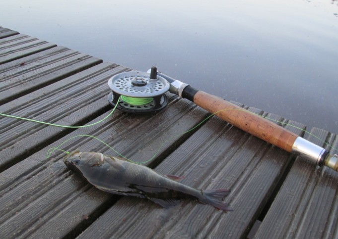 uimarannalla ---- 6 ----.jpg