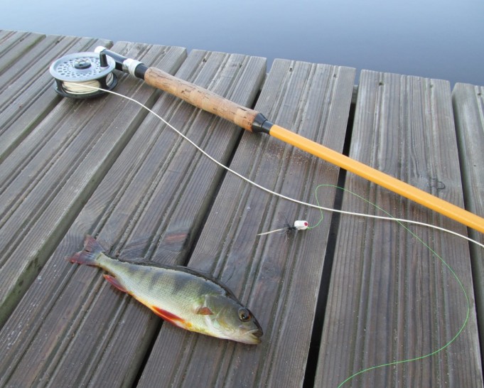 popperihässäkkää ---- 8 ----.jpg