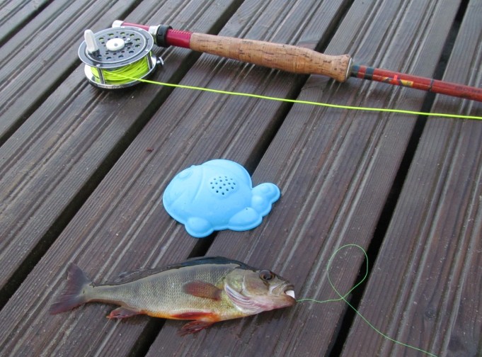 piitsillä aamulla .... 1 .....jpg