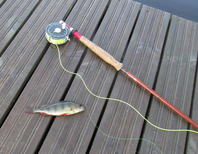 piitsillä aamulla .... 4 .....jpg