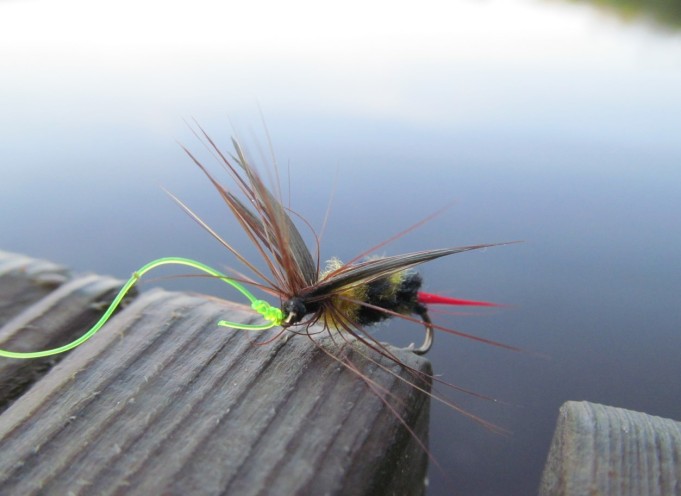 piitsillä aamulla .... 7 .....jpg