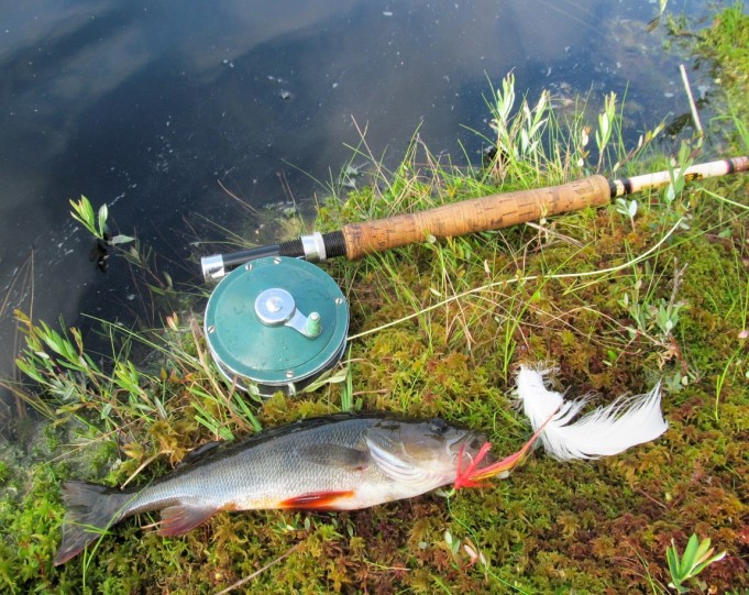 amerikanrautaa ---- 3 ----.jpg