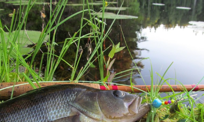 Arpa on heitetty .... 2 .....jpg