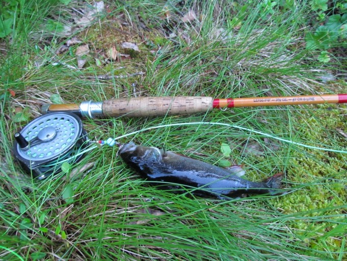 Arpa on heitetty .... 6 .....jpg