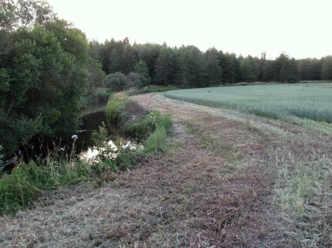 Temu ---- 3 ----.jpg