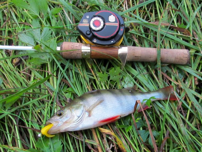 keltainen jigi ---- 2 ----.jpg