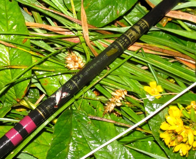 Temu popperi ---- 4 ----.jpg