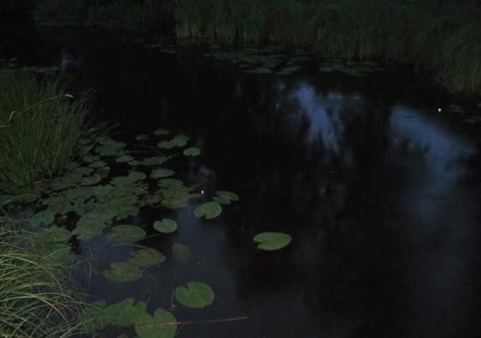 Temu popperi ---- 6 ----.jpg