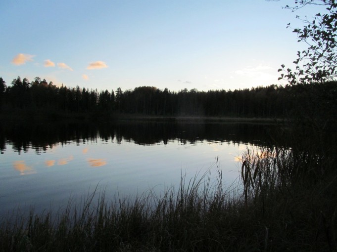 ABU 3000 ---- 7 ----.jpg